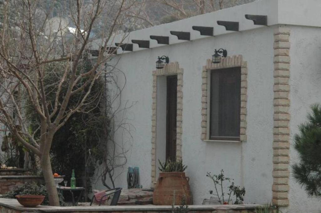 Villa Sea View Mesa Mpanta Káto Zákros Buitenkant foto